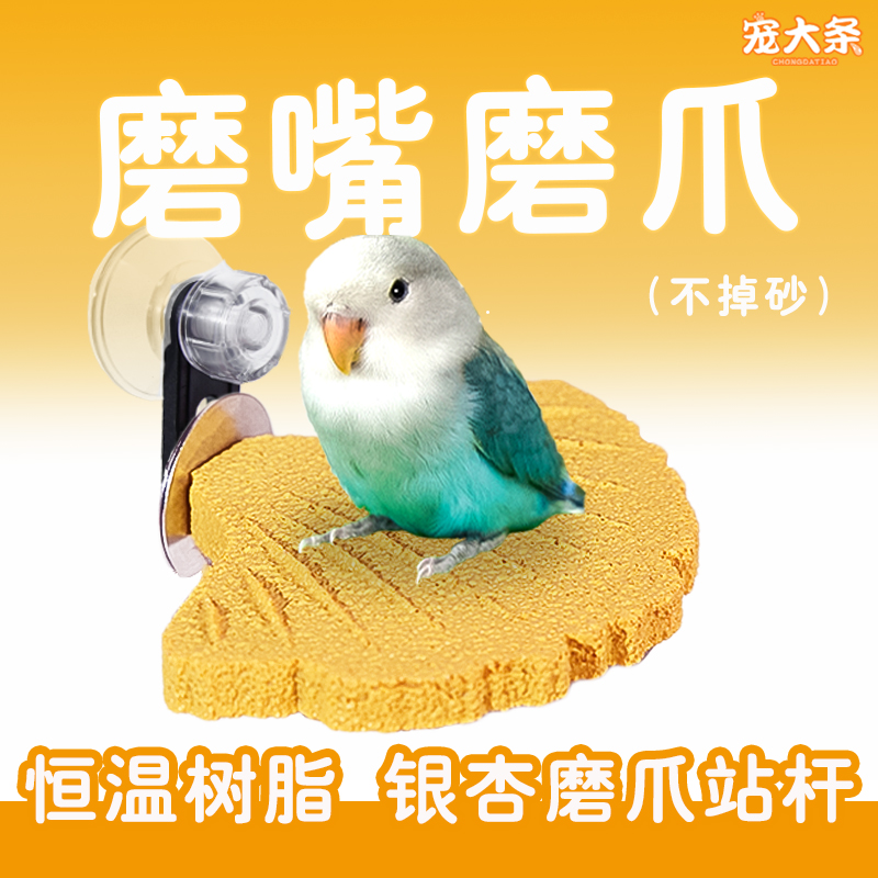 宠大条鹦鹉银杏磨爪站杆