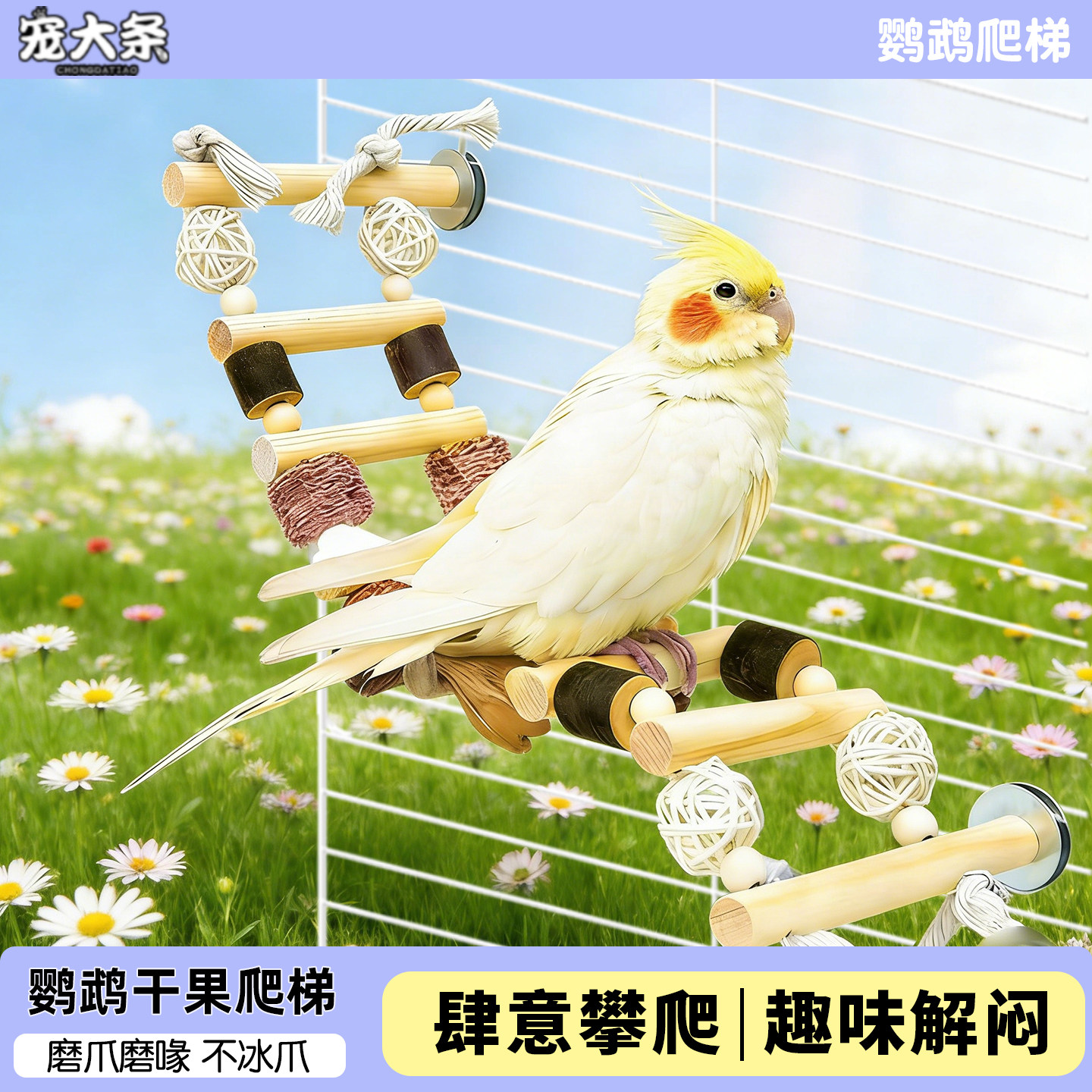 宠大条鹦鹉干果爬梯木质攀爬秋千磨爪站台鸟玩具趣味解闷鸟笼配件