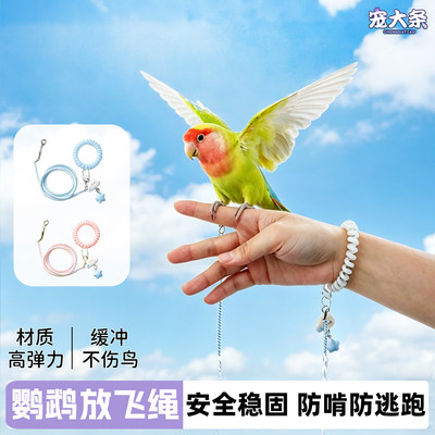 宠大条鹦鹉放飞绳不伤脚超轻牵引绳牡丹玄凤虎皮外出训练遛鸟绳