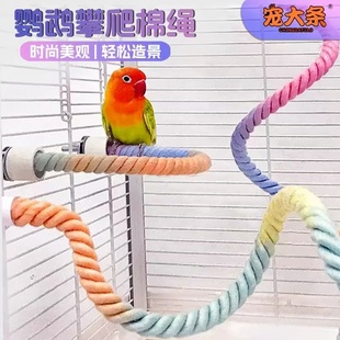 鹦鹉旋转攀爬绳棉绳爬梯玄凤虎皮站绳啃咬磨爪吊绳秋千 宠大条