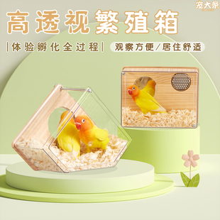 鸚鵡繁殖箱虎皮牡丹玄鳳秋冬窩鳥窩鳥籠專用孵化保暖盒 寵大條