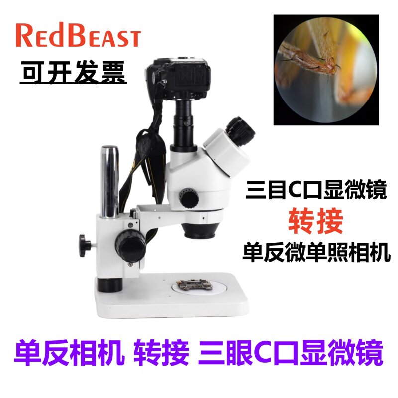 C-Nikon/C-EOS显微镜转接数码相机转C口显微镜转接环AI-C-EOS适用于索尼E尼康F佳能EOS RF单反相机