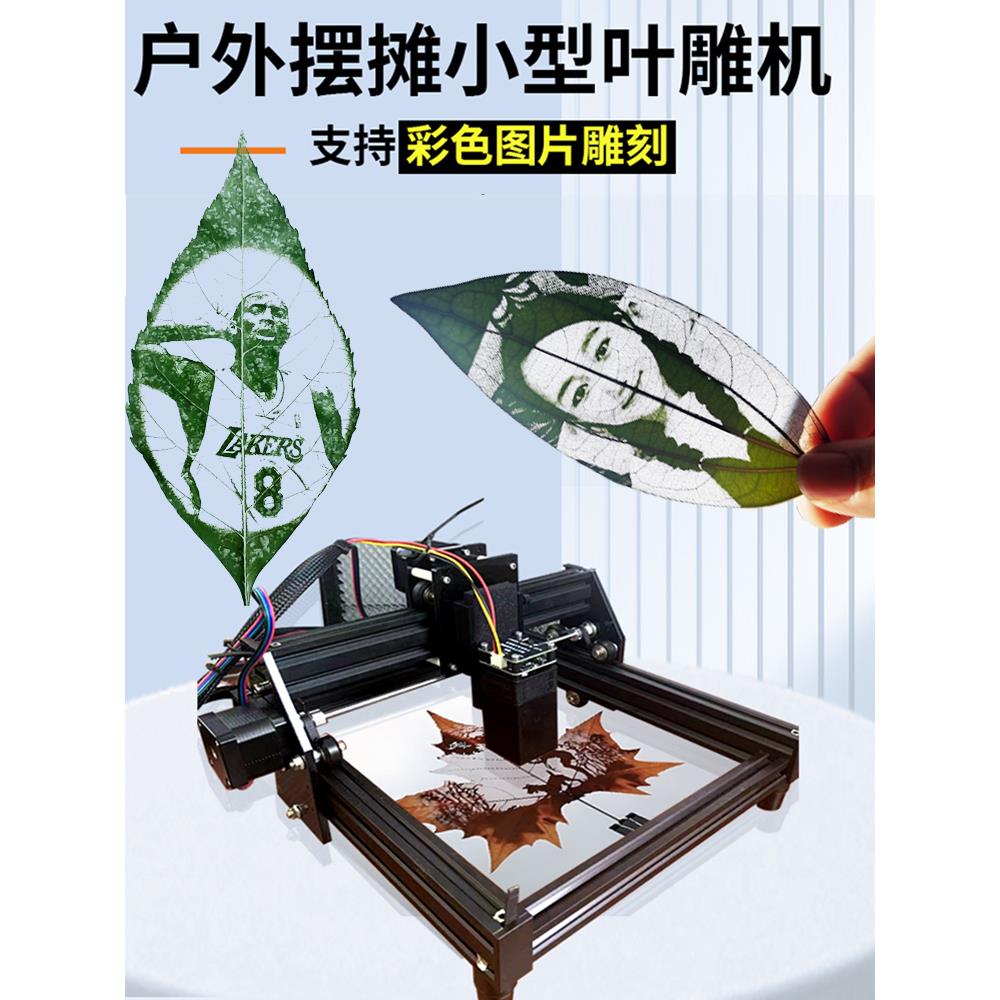 小型摆摊叶子打印照片机器手机控制激光雕刻机全自动叶雕机设备
