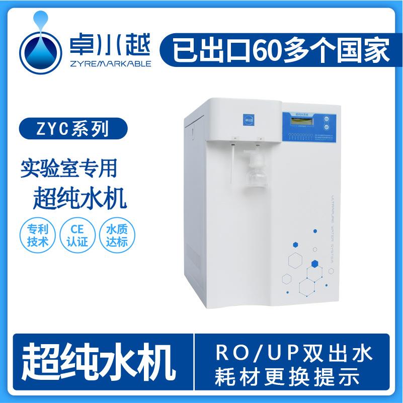 除热源型超纯水机双级反渗透型超纯水机ZYDC-I-20T/H