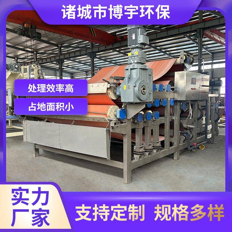 博宇葡萄酒压榨机桑葚蓝莓桃子青梅樱桃杨梅果酒榨汁机
