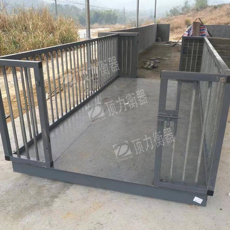 子动电物秤养殖场称重小型可动物秤子带围平栏台秤牛羊畜牧业电地