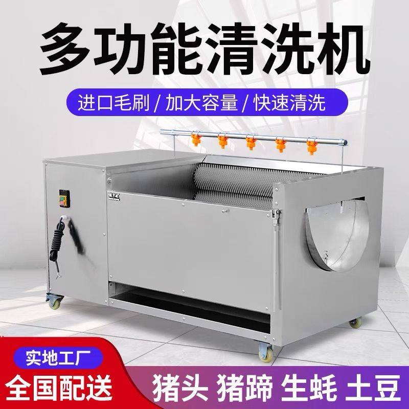 电动猪头猪蹄清洗机牛羊头耳朵去黑清洗机洗羊蹄猪脚生蚝机器,清洗/食品/商业设备,去皮机/扒皮机,淘宝优惠券,粉丝福利购,淘宝优惠卷