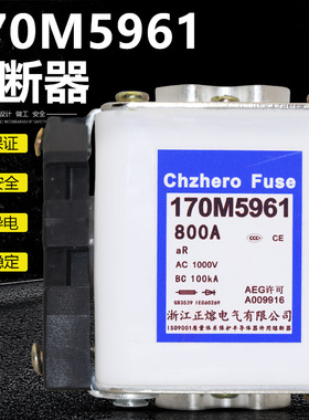 170M5960 170M5930 700A 170M5961 170M5931 800A快速熔断器1000V
