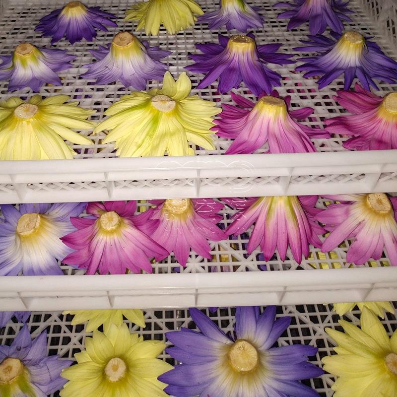 空气能睡莲花烘干机小型九品香水莲花烘干房鲜花花卉烘干设备