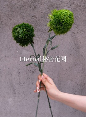 新绿石竹仿真植物手感绿毛球高品质软装花艺绿植家居摆件婚庆绿植