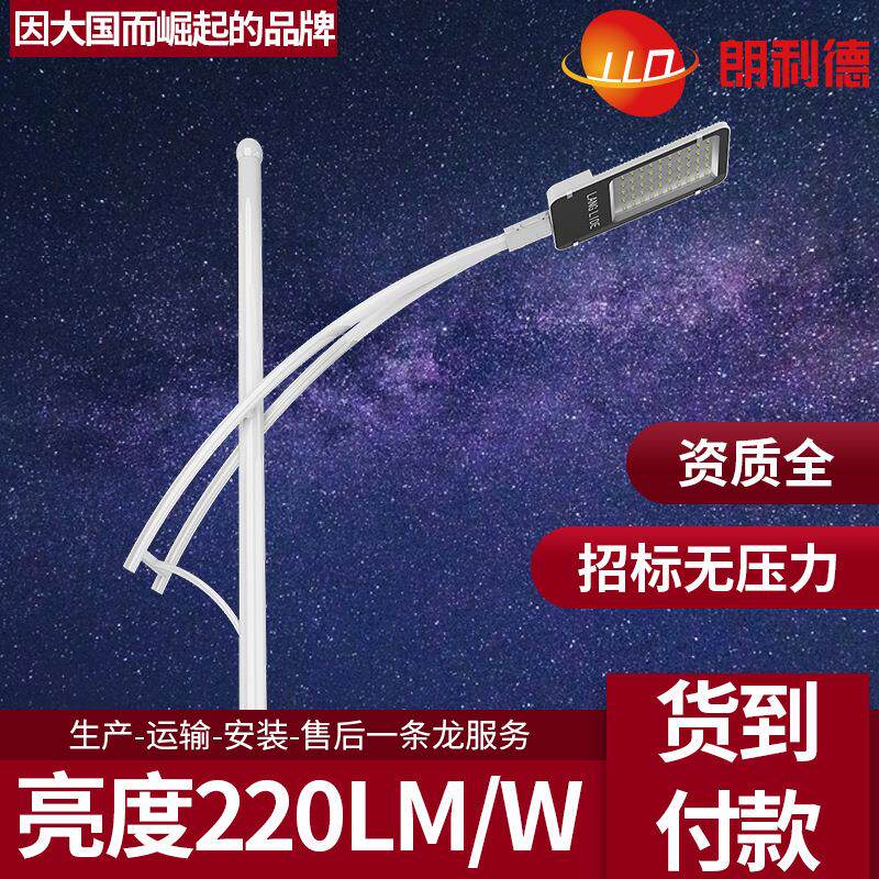 LED路灯60W00W50W200W户外道路照明高杆厂家6米8米0米2米4m