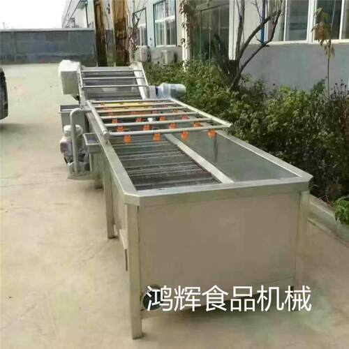 多功能气泡洗菜去泥机 豆芽清洗机 果蔬消毒清洗机厂家直销