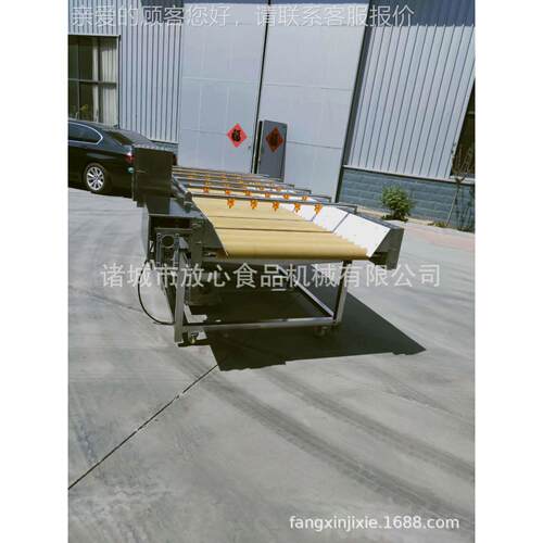 根茎果类蔬清洗机 土豆马薯去皮清洗机不 锈钢芋头清铃洗FX-1800