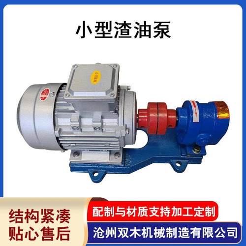 小型渣油泵不锈钢微型齿轮泵电动卧式齿轮小型泵小流量齿轮泵