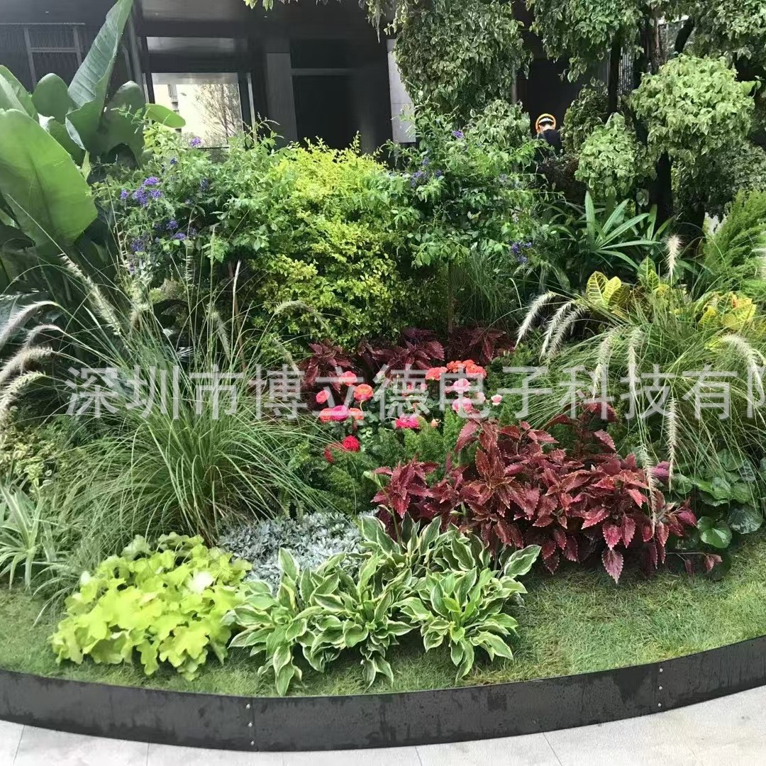 室外城市公园景区市政绿化景观园林设计施工植被种类园林公司承包