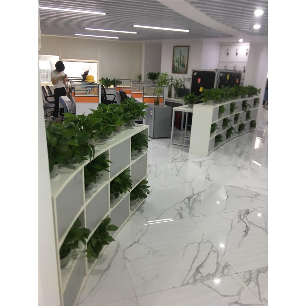 深圳龙华办公家具文件柜简约木质书柜收纳资料储物柜办公隔断矮柜