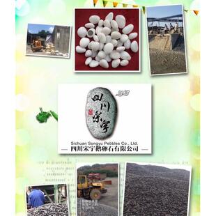 卵拉萨市陶521泸粒石州白鹅色石