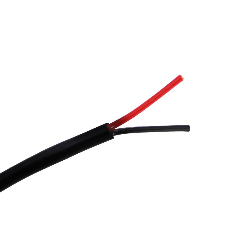 品字尾公头RVV 2x4.0平方黑色裸铜品字尾公头厂家