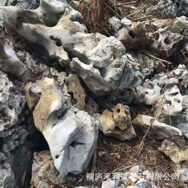 天然湖石窟043001窿太石园林池奇石观赏鱼假观山石造型景原石石材