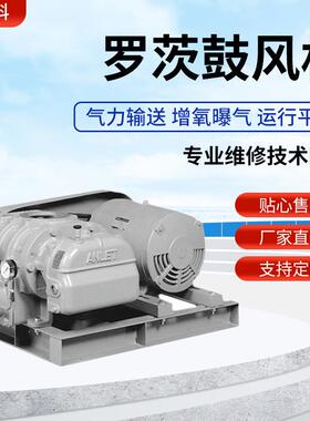 厂家供应ANLET罗茨鼓风机真空泵BE125H型真空泵用于化工厂