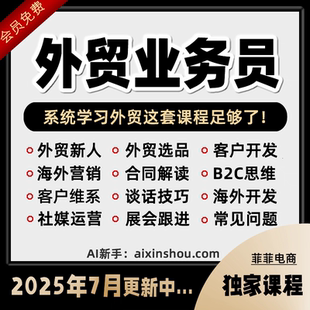 2025外贸教程 外贸业务员客户开发新手课程 外贸新人培训视频教学
