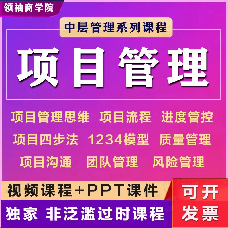 项目管理思维团队建设执行力课程技巧沟通质量PMP培训视频教程