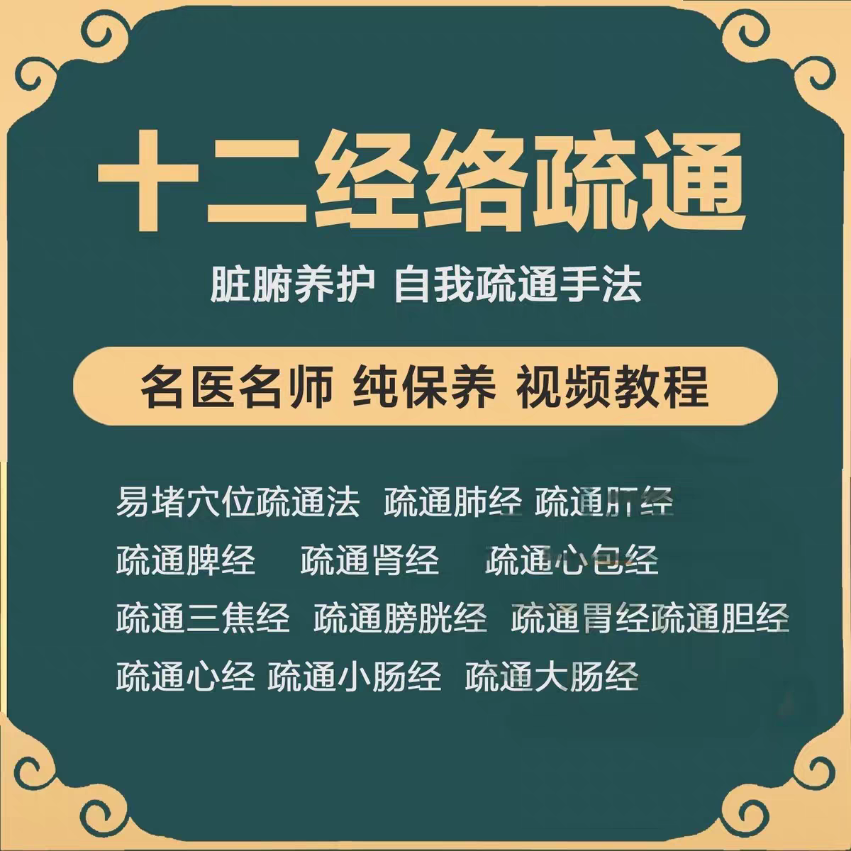 中医养生徒手十二经络易堵理疗疏通手法脏腑排毒课程视频图解教程