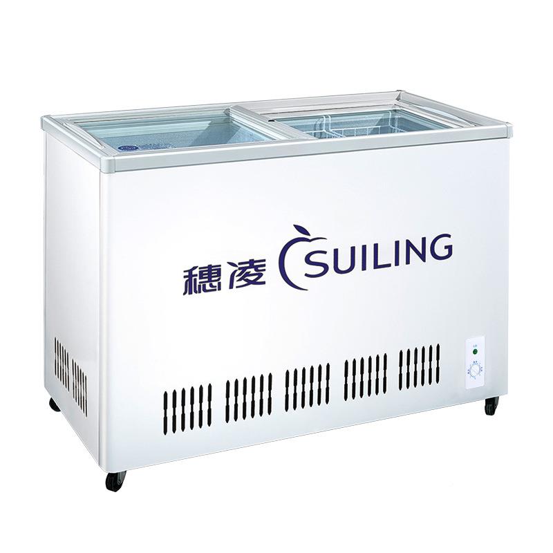 式穗无品牌/凌冰柜大容量单温商用冷冰箱小型卧冷冻展示柜藏平璃