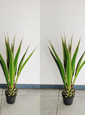 仿真植物盆多肉龙蛇软兰黄观边虎88015皮兰剑麻景装家栽居绿色园