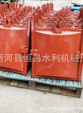 厂家直供18465电动启机闭闸门平面铸铁镶铜双闸向止水可来门图