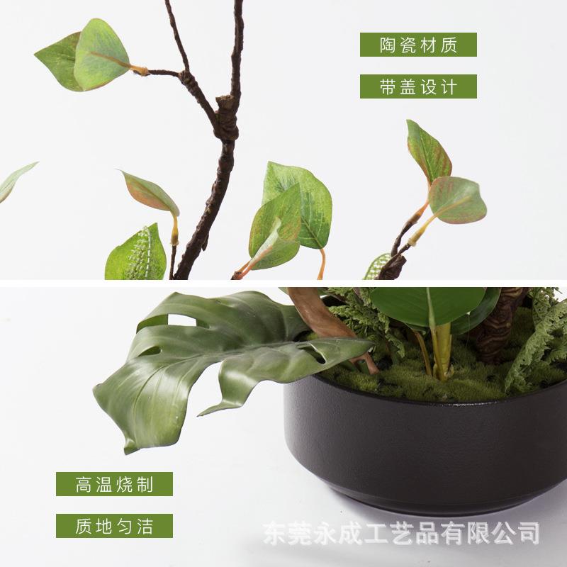 茶现HY1387新中式绿苔花艺客厅盆景客厅桌书房艺术几小盆栽代面艺