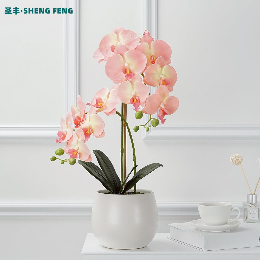 蝴摆蝶兰仿真盆景假套装创意081-1013过花胶绢花客厅设装饰花盆栽