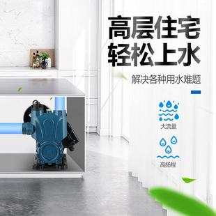 太阳能 大智数显吸水泵IKX能小型自来水抽水自全自动家用增压泵元