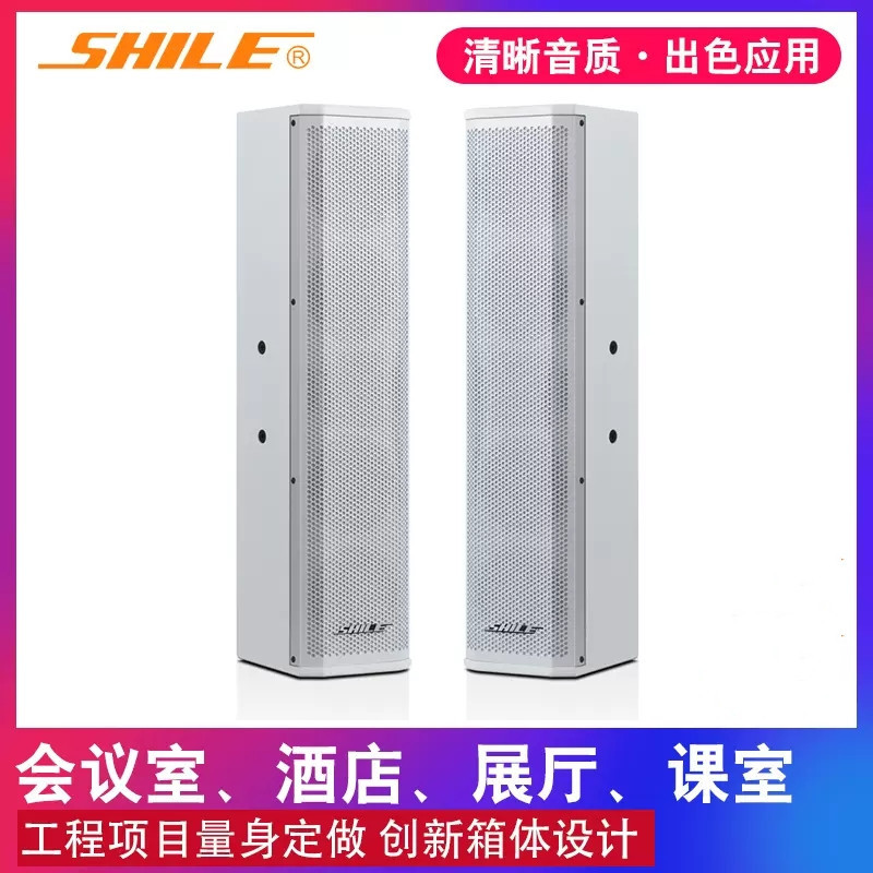 狮乐BX-406会议音箱壁挂三角支架音柱酒店背景音乐多功能展厅