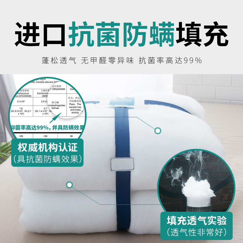 全棉防滑床垫子可定制榻榻米飘窗垫软垫I加厚家用床褥子单双人垫