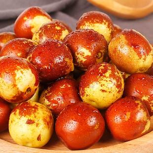 枣子苗当年结果庭院盆栽地栽嫁接枣子果树苗红枣灵宝大枣红枣树苗