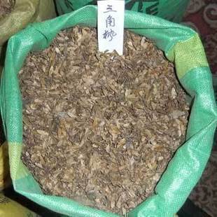 三角枫三角枫种子枫树种子当年新采林木新种子