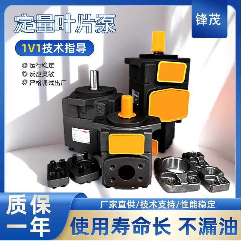 单泵/双联叶片泵PV2R11/PV2R21/1/31/32油泵总成液压系统泵头配件