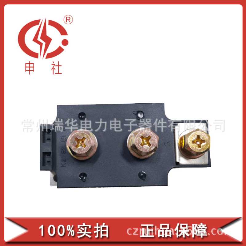 申社  常州瑞华申社厂家直供整流管桥臂模块MDC/A/K3501665A