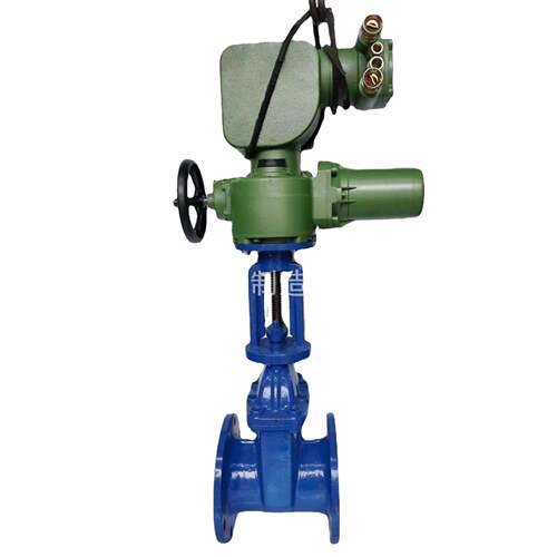 定制产品    沪天阀门防爆型电动闸阀Z945X