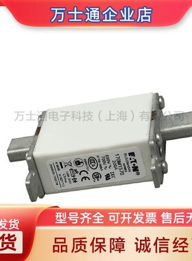 170M3270/3271/3272/3273/4258/4259/4260/4261全新熔断器现货