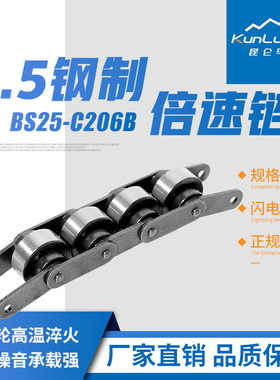 倍速链BS25-C206BG重载型，倍速线配件自动化装配线设计可配套