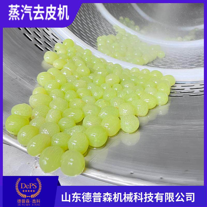 水果罐头加工流水线芋头脱皮机全自动红薯蒸汽去皮机