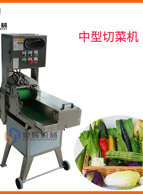 变频调速切菜机 中型单头蔬菜切菜机 可调厚薄哈密瓜/木瓜切片机