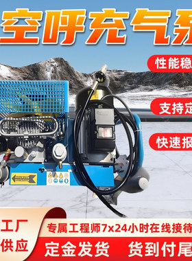 空呼充气泵 排气量大 移动方便 循环使用 WG20-30J空呼充气泵