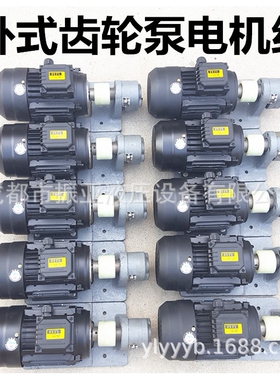 WBZ/CB-B16/B20/B25/B32JZ齿轮油泵电机组装置0.75/1.1/1.5/2.2KW