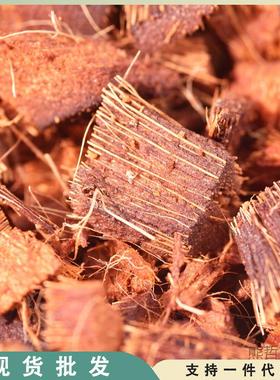 粗壳椰砖用型糠脱椰盐大块通颗粒椰砖营TcMa3maM养土兰花植料专用