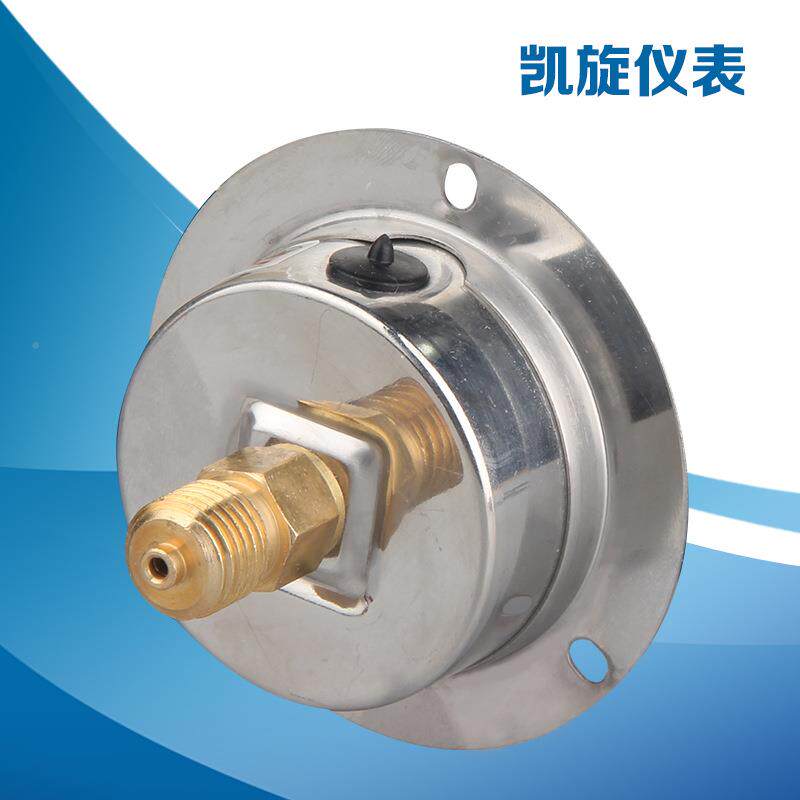 耐震力表5 YN0ZT 轴向（背接式）带边 YN50ZT轴规格齐全可压定制