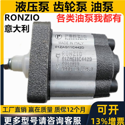意大利罗茨RONZIO液压齿轮油泵05ZAG 01ZAG 02ZAG 02ZCG 03ZAG35