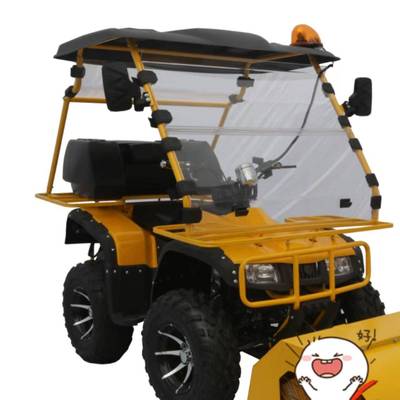 大公牛250cc龙鼎沙滩车扫雪机除雪双人四轮雪地越野摩托娱乐环保